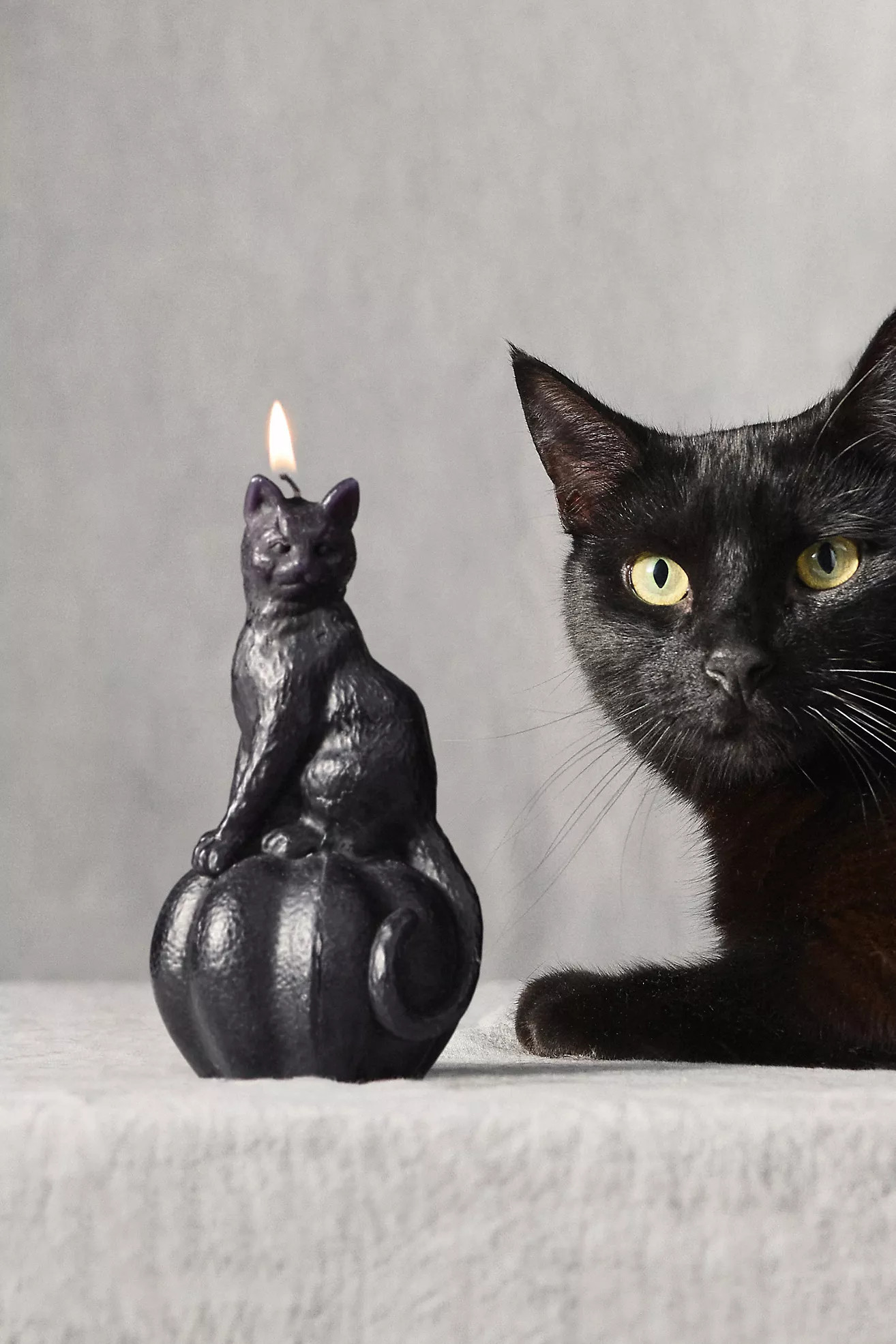 Pumpkin Cat Decorative Shaped Wax Candle | Anthropologie (US)