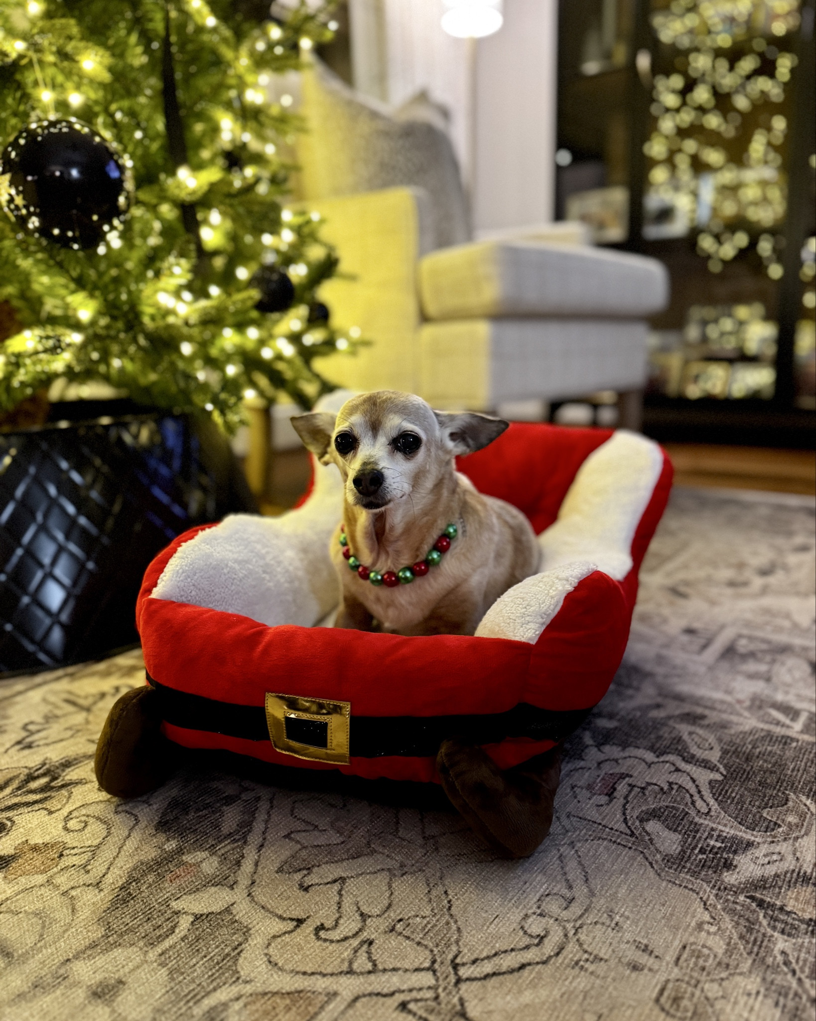 Holiday Pet Beds 🎅🏼

I’m so excited I purchased this when I saw it. It’s soft and cushiony and my senior pup loves it. It comes in different sizes and other holiday shapes. I REALLY wanted to get the present bed also. 🎁 This bed is the XS for up to 20lbs  

This is a CUTE gift idea for a pet parent. 

#everypiecefits

Holiday gift 
Dog bed
Cat bed
Christmas gift 
Gift idea 
Pet owner gift guide 
Sleigh
Santa bed
Christmas tree 
Ornament 

#LTKHome #LTKSeasonal #LTKHoliday