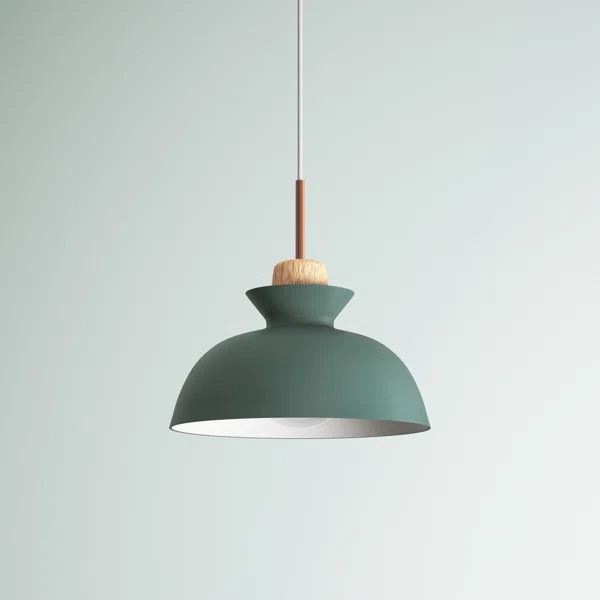 Brashear 1 - Light Single Pendant | Wayfair North America
