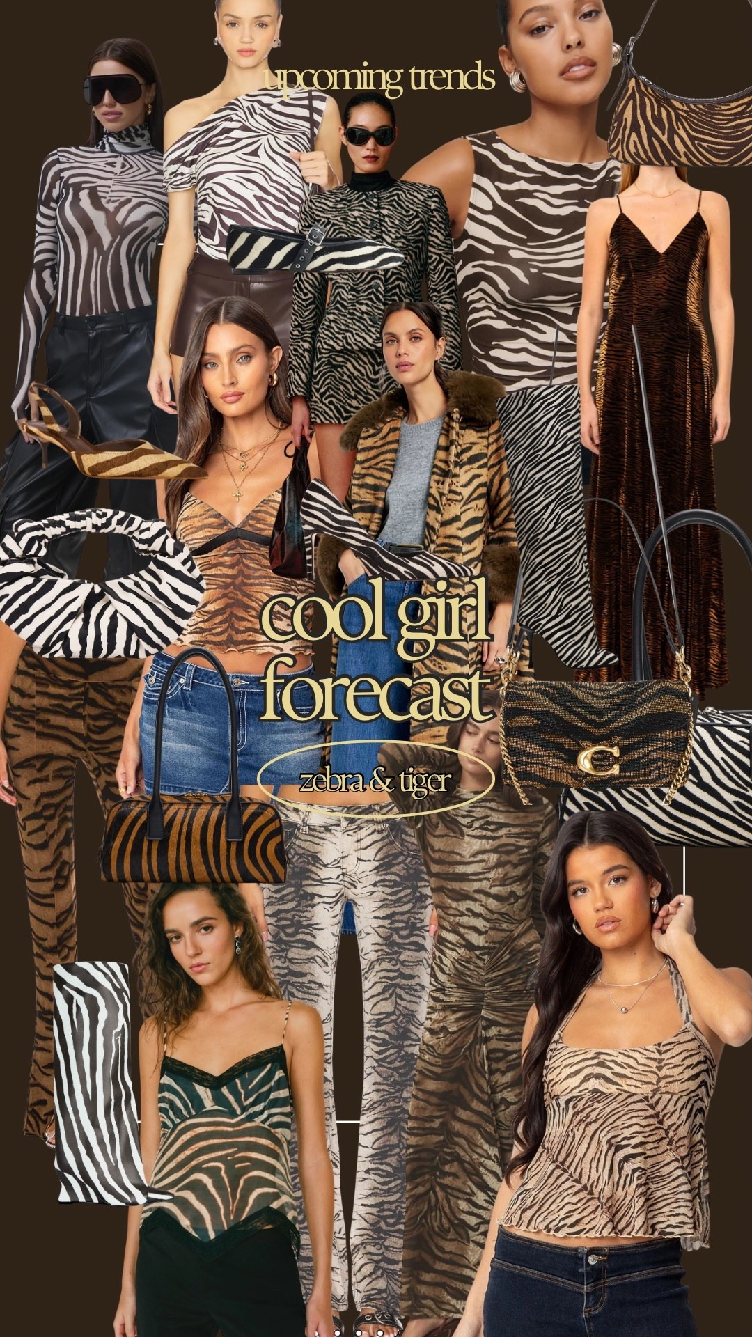Cool Girl Forecast: zebra & tiger print 


#LTKootd
