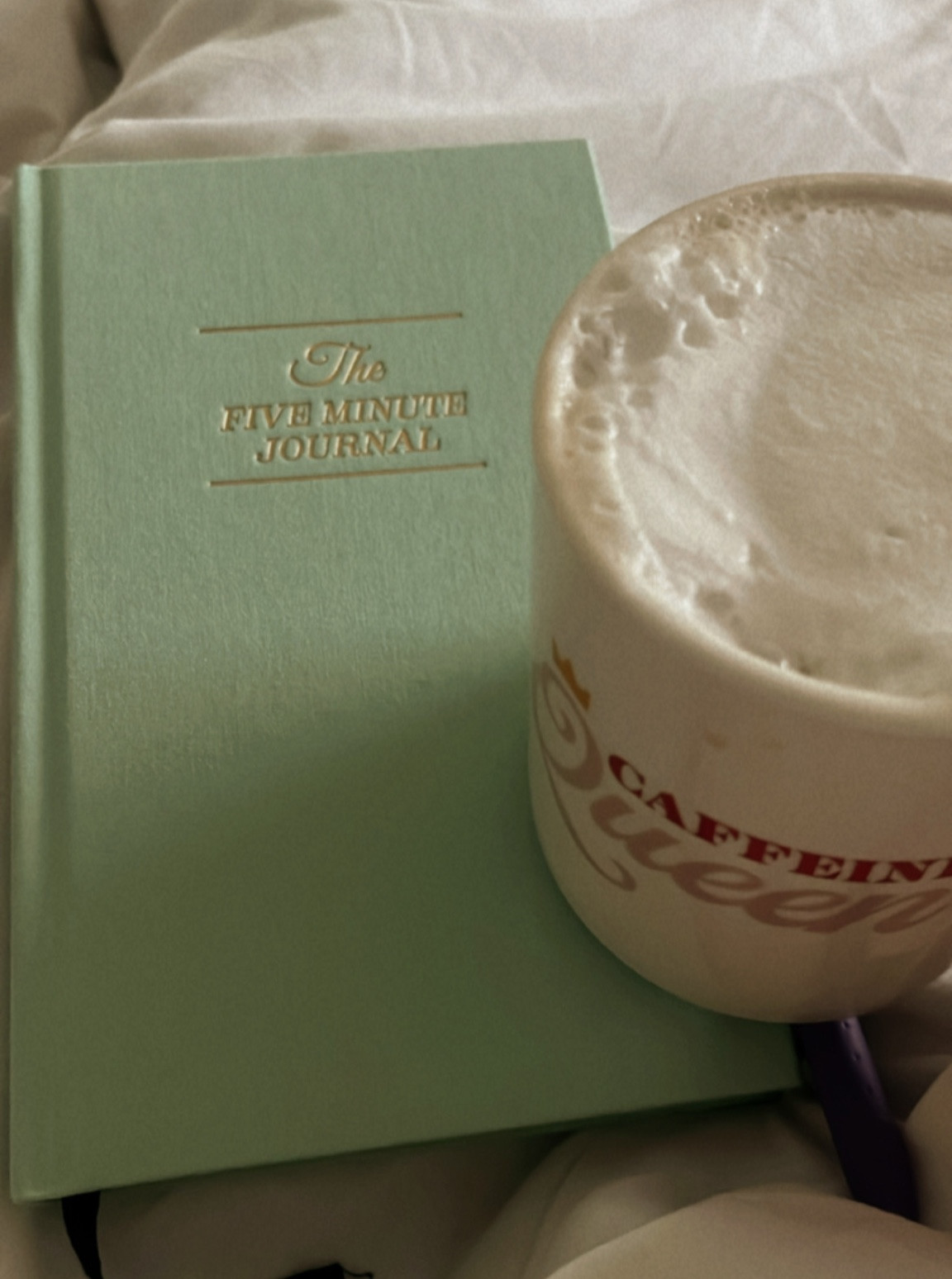 The five minute journal has been one of the best things I’ve purchased. ✏️ 
:
Great way to start & end the day with thoughts & reflections  

#LTKGiftGuide #LTKU