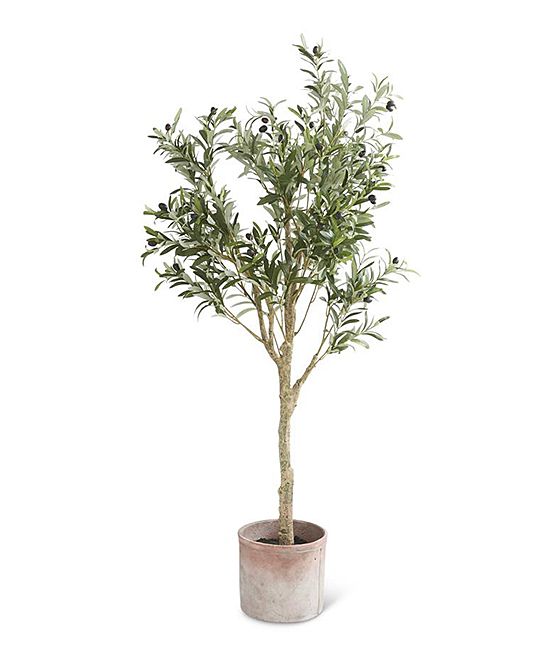 K&K Interiors Faux Plants - Green Olive Tree 61'' Potted Arrangement | Zulily