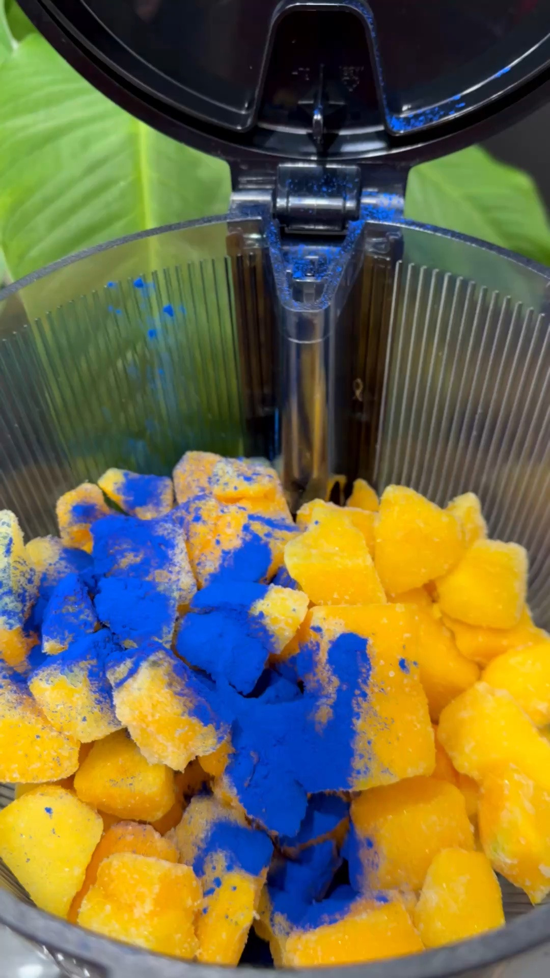 One thing about summer in my house… we’re making sorbet EVERY chance we get 😂🍧

The Nama J2 Cold Pressed Juicer has officially become my favorite summer kitchen appliance because fresh homemade sorbet is always a good idea.

Shop the juicer I use daily on my LTK.

#ShoppingWithPriiincesss #NamaJuicer #SorbetRecipes #SummerDesserts #HealthyTreats #JuicerLife #LTKHome #KitchenEssentials #FreshFruitRecipes #SummerFun #WellnessLifestyle #HomemadeGoodness #AtlantaMom #Atlantamom #Atlantabloggers #Atlantablogger #AtlantaCreator #Atlantacontentcreators #Atlantacontentcreator

#LTKselfcare #LTKfoodie #LTKHome