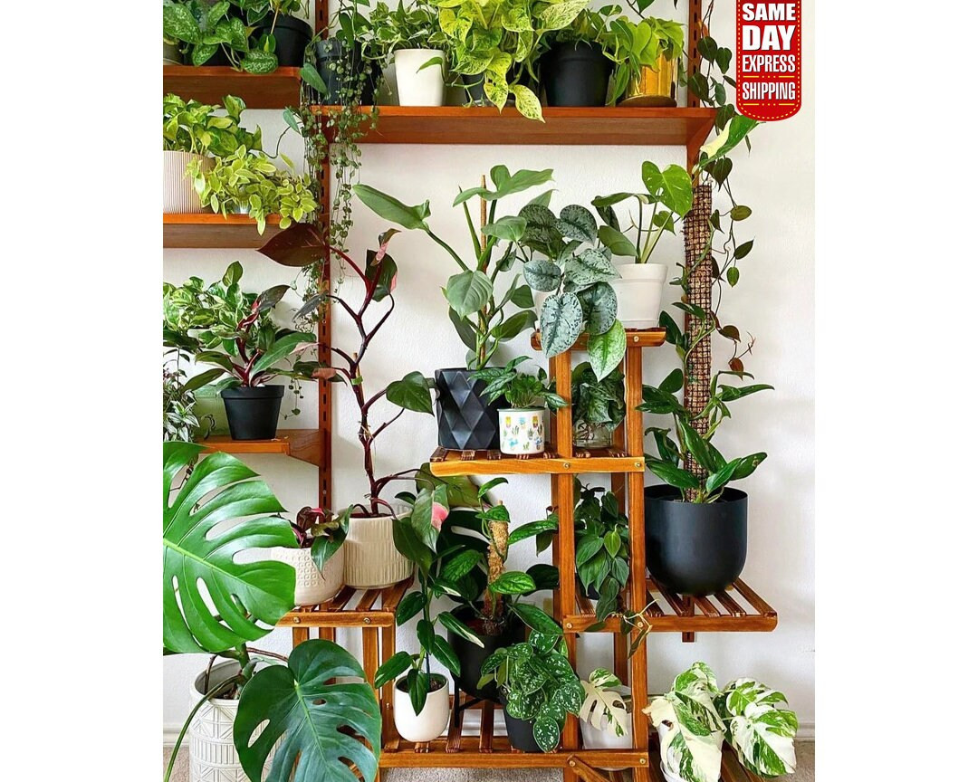 Indoor Corner Wood Plants Stand, Modern Tall Corner Plant Stand For Multiple Plants, Tiered Vinta... | Etsy (US)