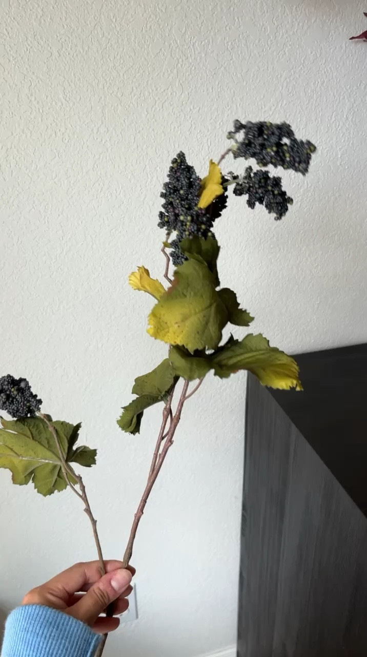 Michaels Stems // only $2.50!

michaels fall stems, michaels seasonal decor, michaels seasonal finds, michaels home, budget friendly fall decor, affordable fall stems

#LTKSeasonal #LTKHome