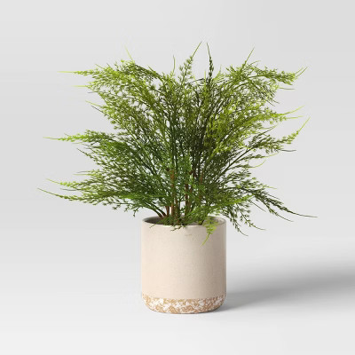 Small Artificial Asparagus Fern - Threshold™ | Target