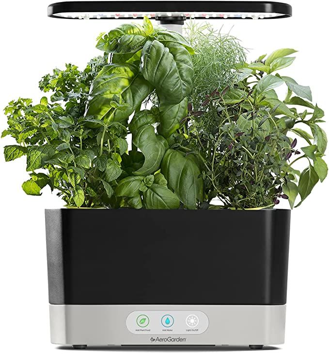 AeroGarden Harvest with Gourmet Herb Seed Pod Kit - Hydroponic Indoor Garden, Black | Amazon (US)