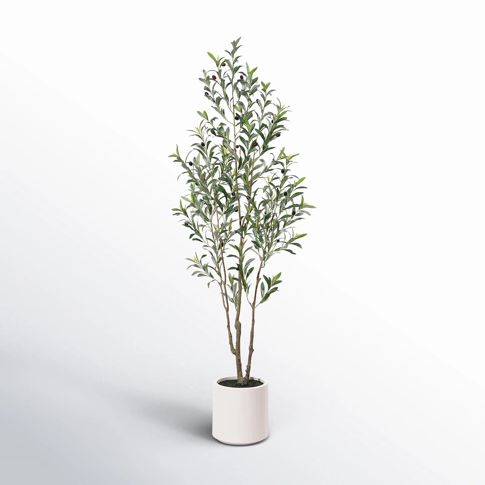 Altman Faux Olive Tree in White Planter, Lifelike Fake Olive Plant for Indoor and Outdoor Decor | Wayfair North America