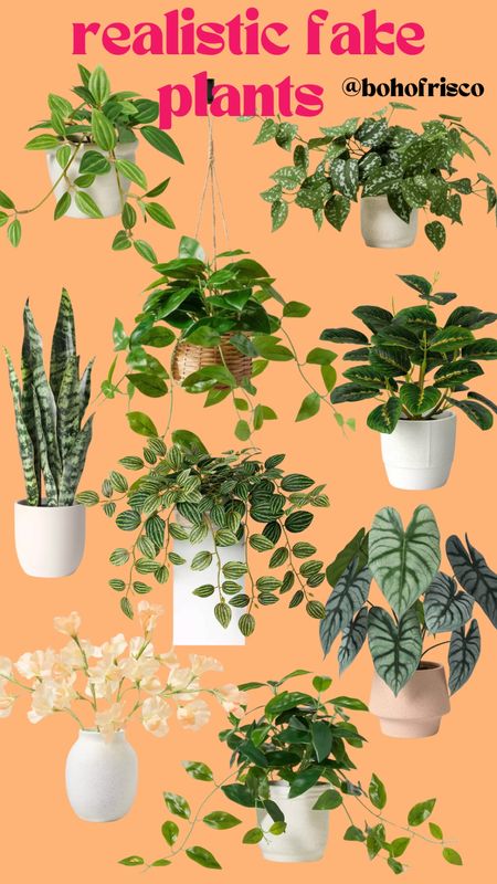 Spring is the best time to find realistic faux plants that will last all year 🥰🌿 These are affordable faux plants if you have no energy or natural light in a room 

#LTKhome #LTKSpringSale #LTKSeasonal