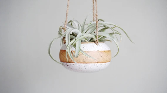 Band Small Hanging Planter  Speckled White. Perfect for Air - Etsy | Etsy (US)