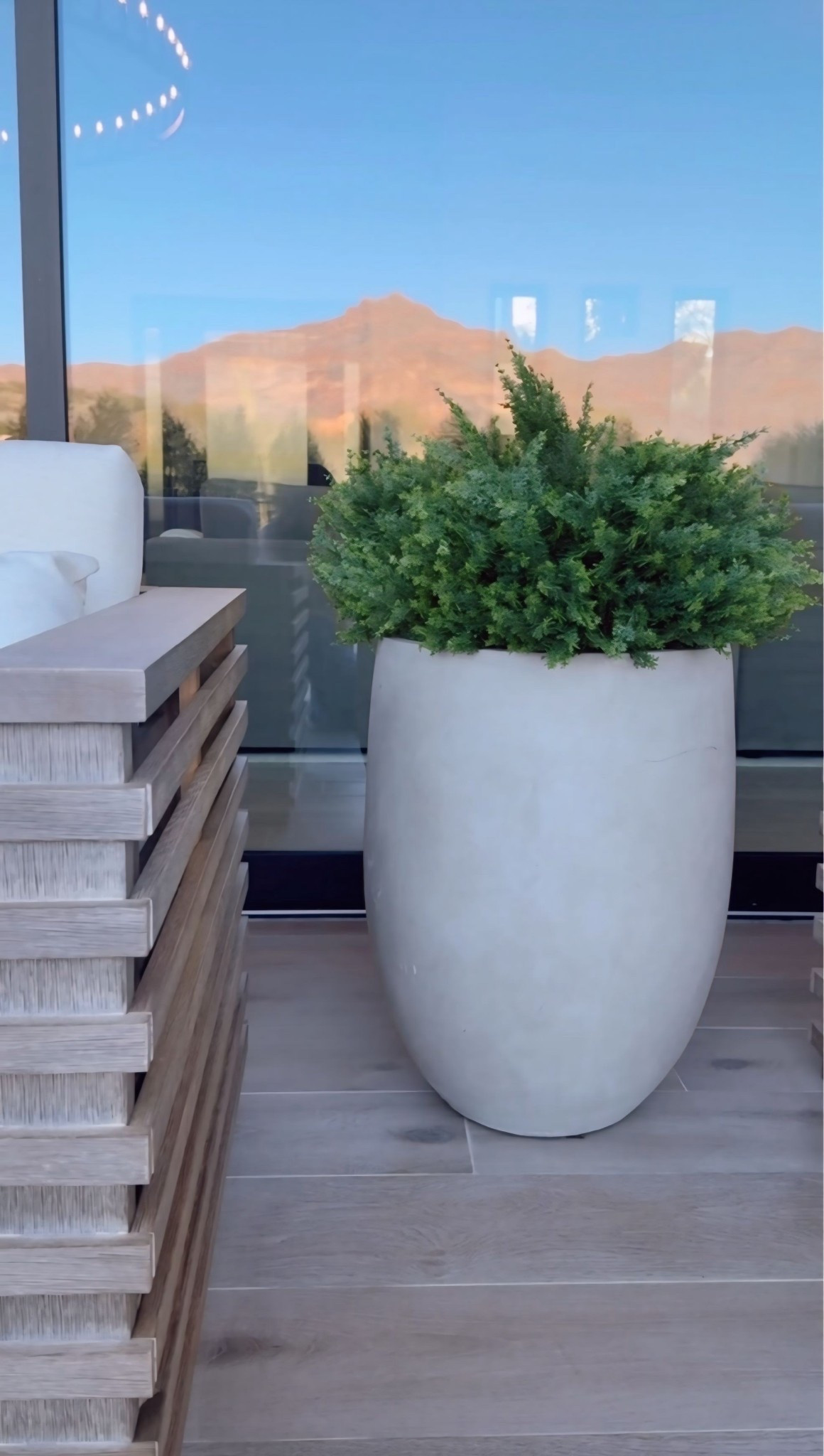 Never underestimate the power of a simple concrete planter and greenery 🌱🤩 These elevated my backyard so much! I love it  

Outdoor elevated finds 
Patio finds that elevate 
Outdoor patio decor 
Outdoor furniture 


#LTKHome