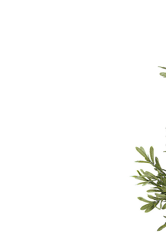 Faux Olive Tree | Ballard Designs, Inc.