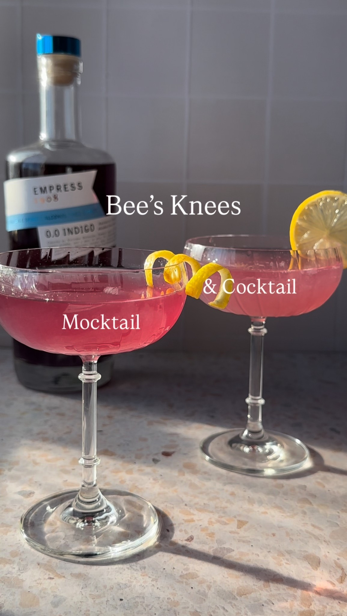 Bee’s Knees - 2 ways!

Follow me on Instagram and TikTok @drinkswithdanica for this recipe and more 