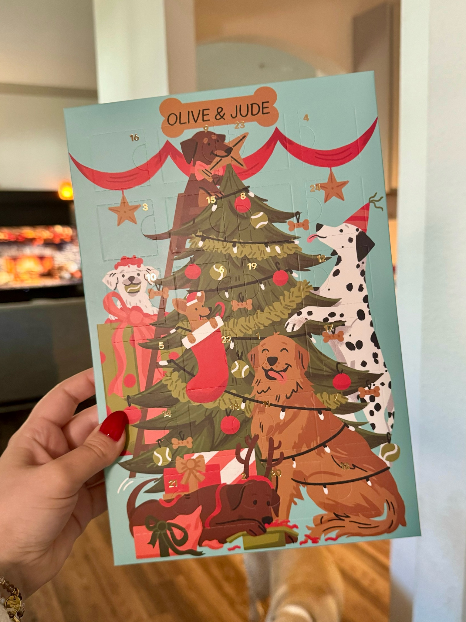 An advent calendar for the doggos! 🎄🐶

Dog mom, pet parent, gift for dogs

#LTKFindsUnder50 #LTKHoliday #LTKGiftGuide