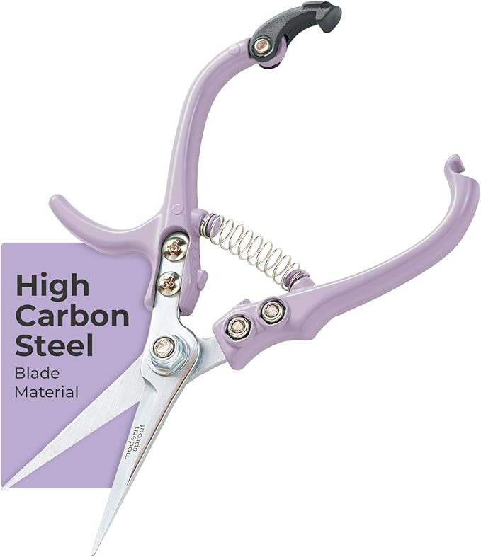 Modern Sprout Pruning Shears - Herb Snipping Scissors- Lightweight Gardening Tools W/Easy Lock - ... | Amazon (US)