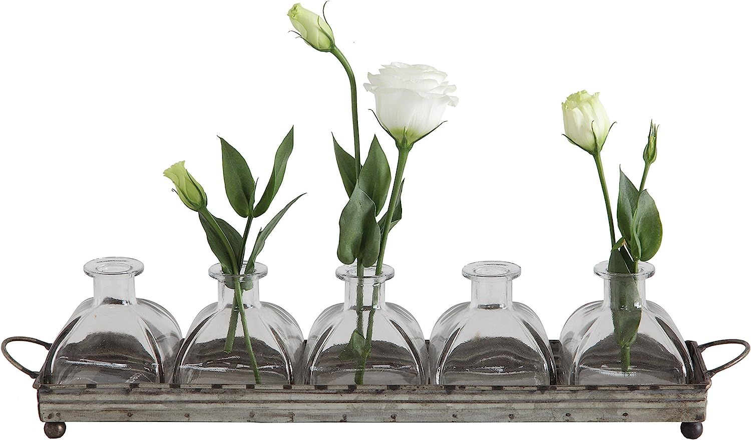 Creative Co-Op Decorative Iron Rectangle Tray with Handles & 5 Glass Vases | Amazon (US)