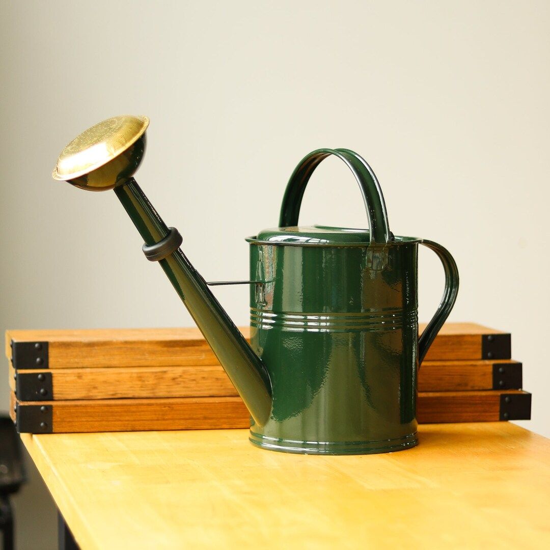 Galvanized Metal Watering Can with Brass Shower Head - 5.0 Liter - Dark Green | Etsy (US)