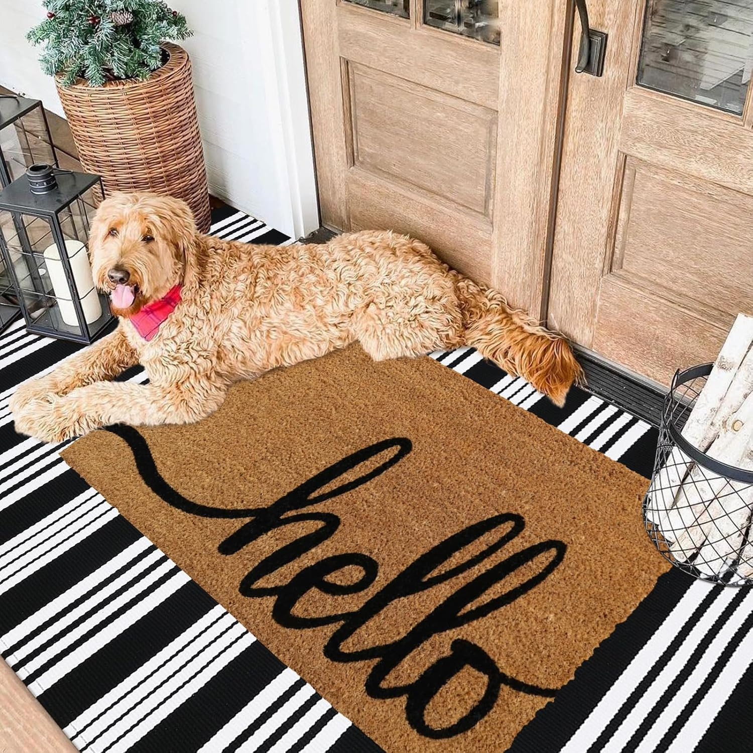 Black and White Striped Washable Rugs 3x5, Cotton Hand-Woven Outside Door Mats for Front Door Fol... | Amazon (US)