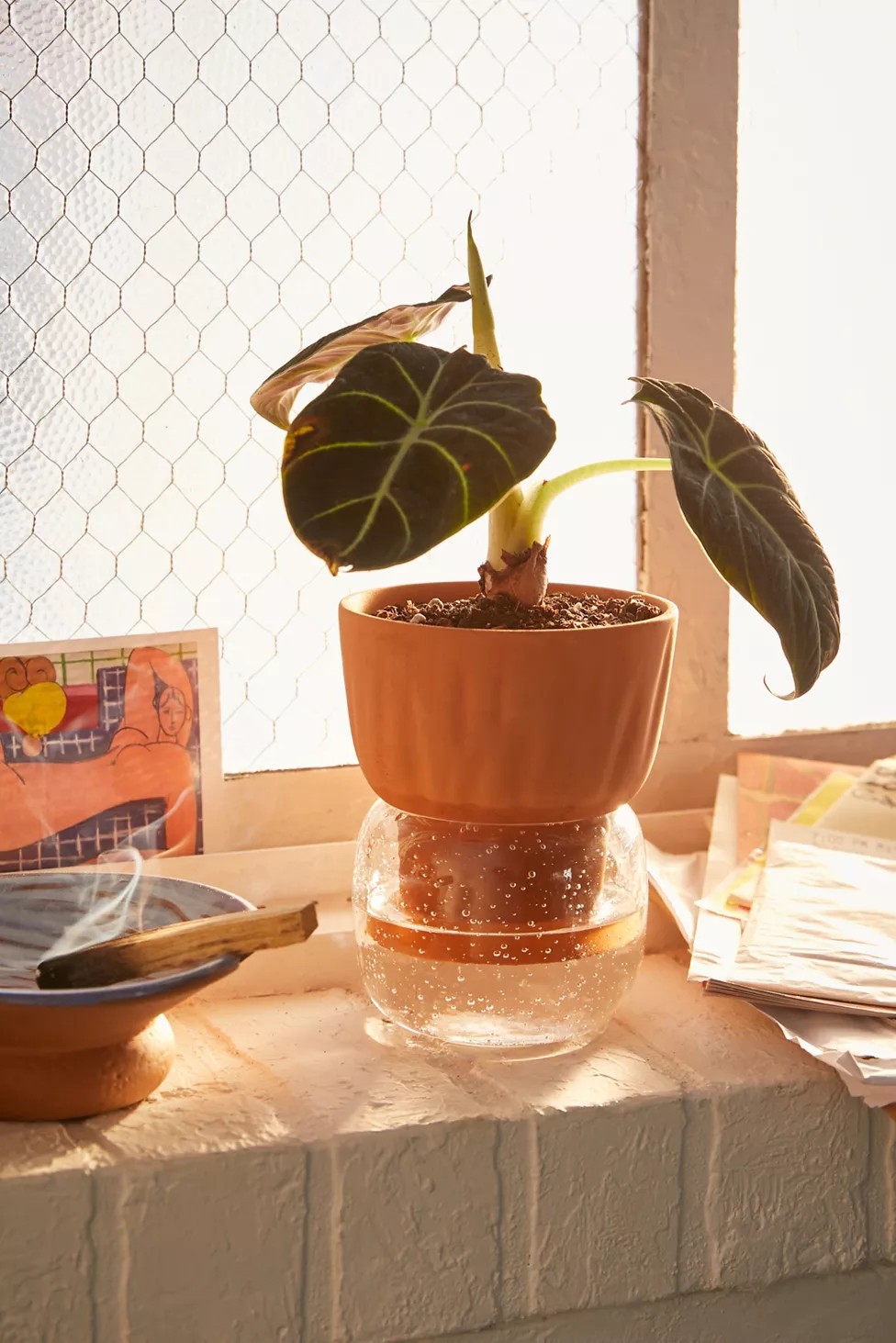 Carmella Small Essential Self Watering Planter | Urban Outfitters (US and RoW)