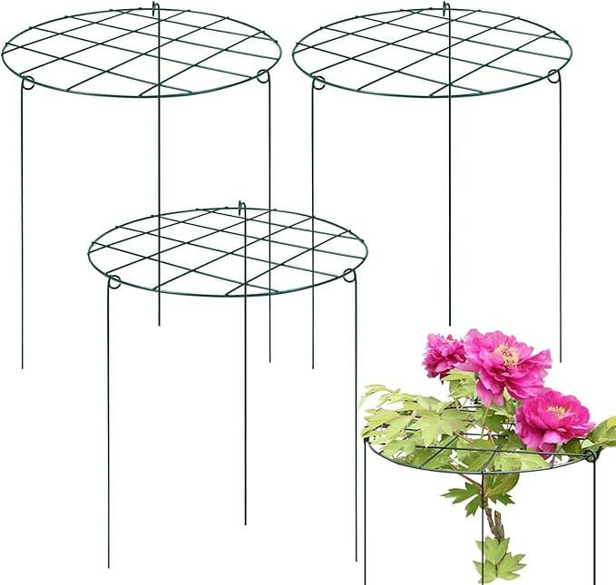 6 Pack 16 x 24 Inch Peony Support Cage Grow Through Plant Supports for Outdoor Plants Peony Ring ... | Amazon (US)