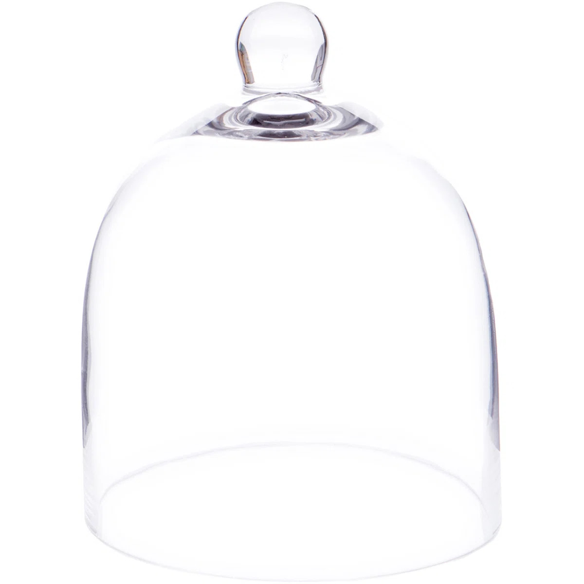 Bettzy Display Dome Cloche | Wayfair North America