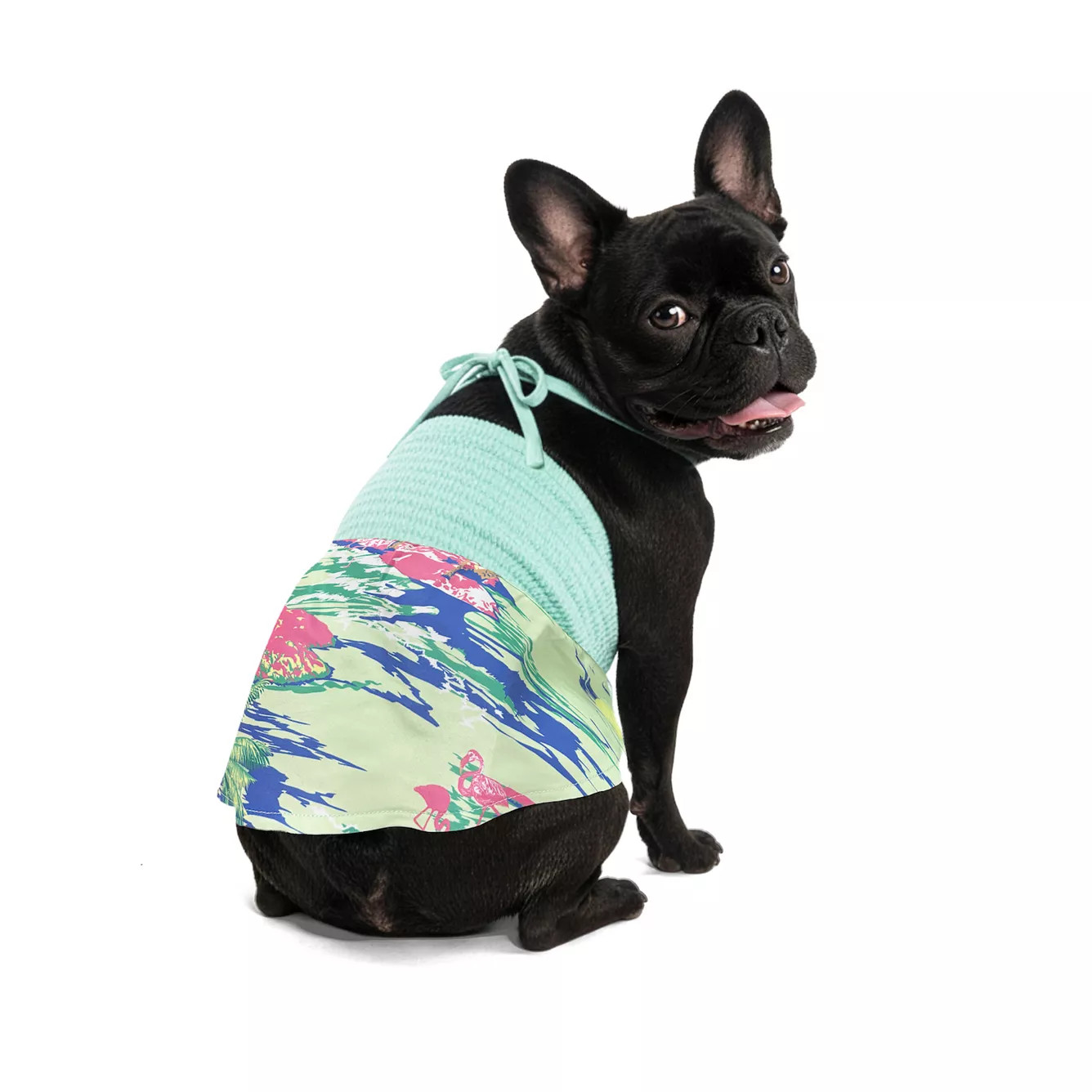 WOOF\u00ae Flamingo Beach Pet Dress | Kohl's