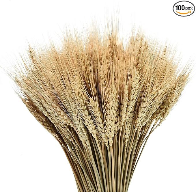 YoleShy Dried Wheat Stalks, 100 Stems 100% Natural Wheat Decor for Home Kitchen Christmas Wedding... | Amazon (US)