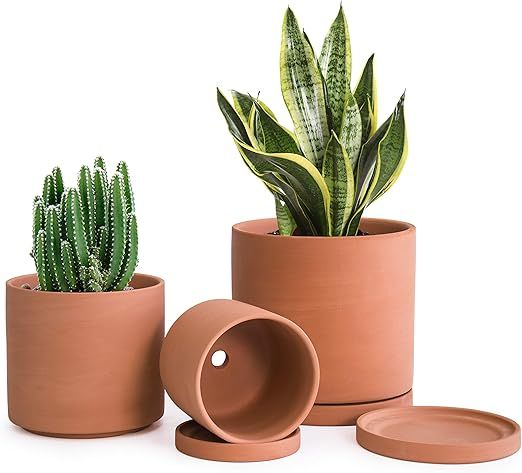 D'vine Dev Terracotta Pots for Plants, 4.2 Inch 5.3 Inch 6.5 Inch, Succulent Planter Pot with Dra... | Amazon (US)