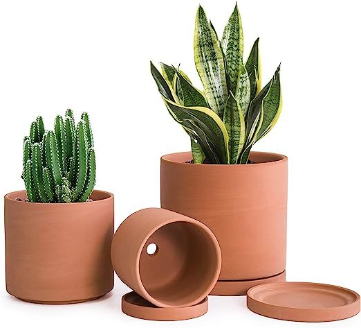D'vine Dev Terracotta Pots for Plants, 4.2 Inch 5.3 Inch 6.5 Inch, Succulent Planter Pot with Dra... | Amazon (US)