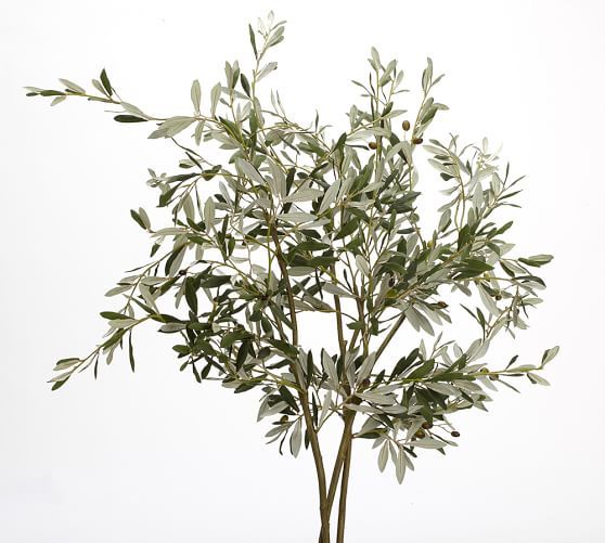 Faux Olive Branch, 50"L | Pottery Barn (US)