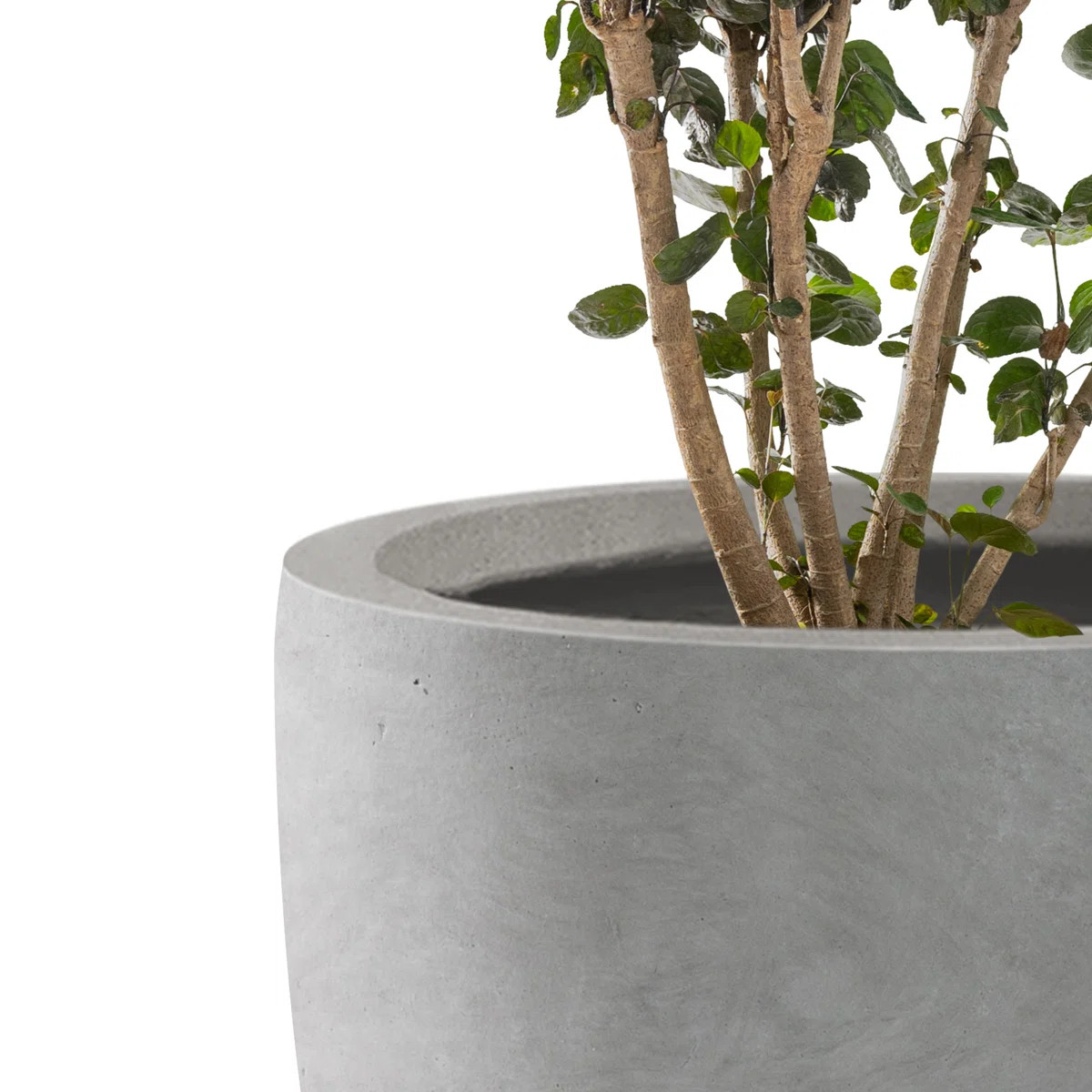 Kante 3 Piece 18", 14", and 10"W Round Planters, Outdoor Indoor Modern Planter Pots, Lightweight,... | Wayfair North America