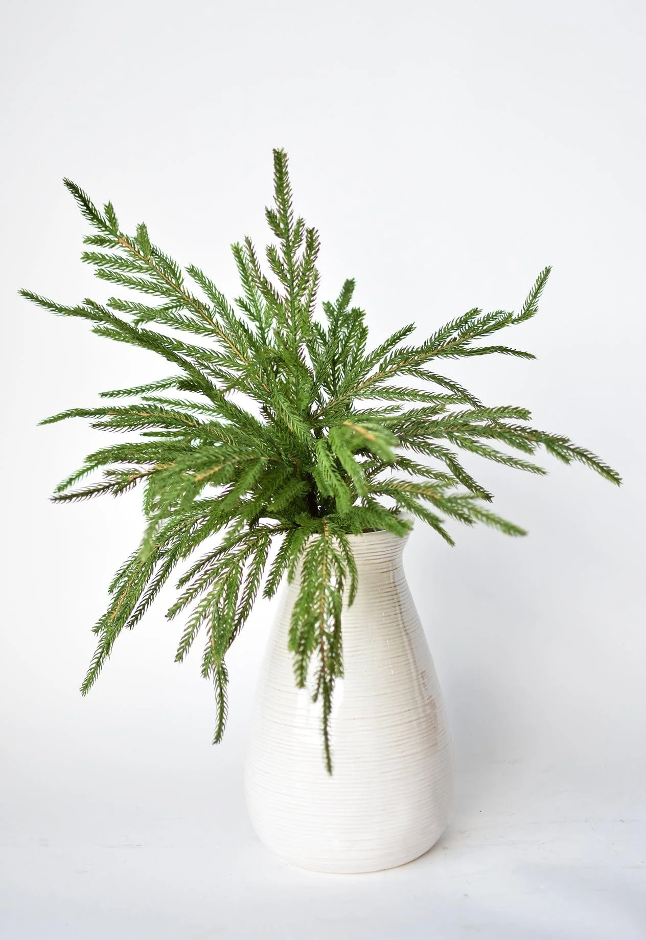20" Faux Green Norfolk Pine Bush | HouseFloral
