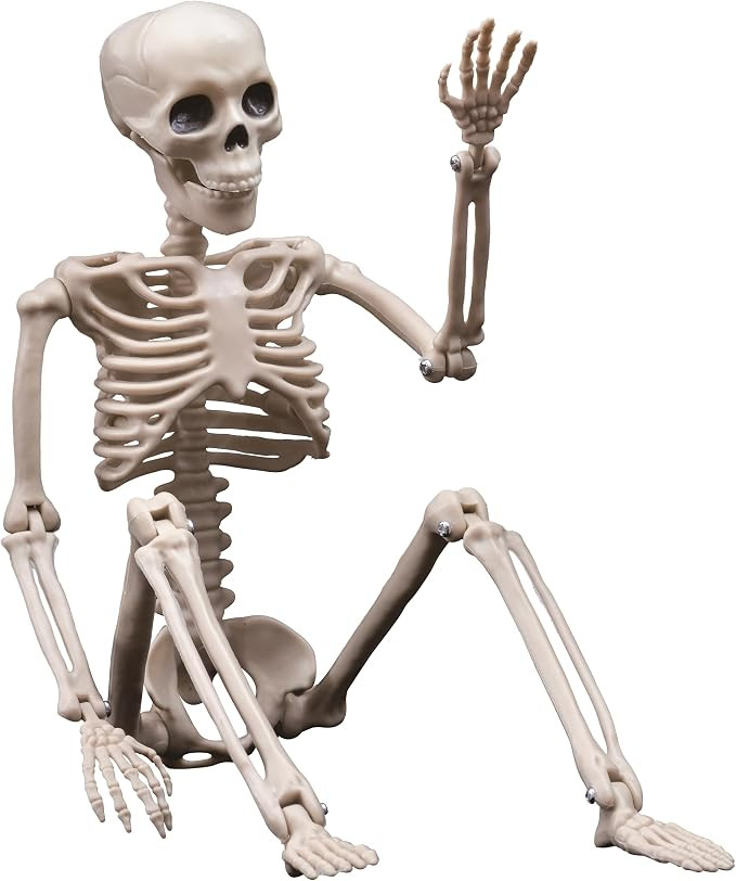 Halloween Decorations Outdoor Skeletons - 16" Posable Plastic Skeleton - Spooky Scary Small Skele... | Amazon (US)