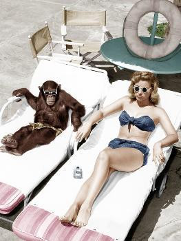 Chimpanzee and a Woman Sunbathing | Art.com