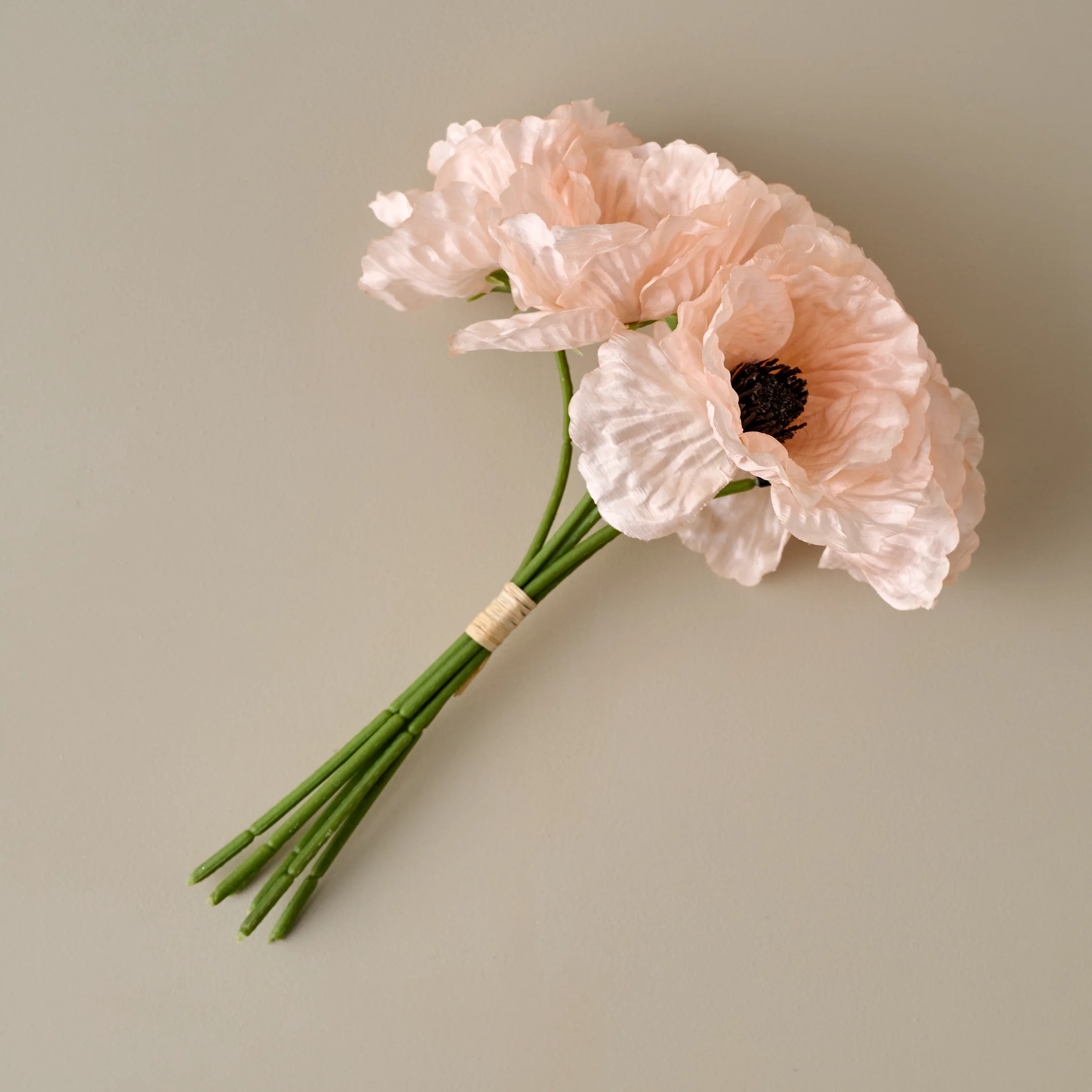 Anemone Bouquet | Magnolia