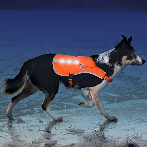 Illumiseen LED Dog Vest | Orange Safety Jacket with Reflective Strips & USB Rechargeable LED Ligh... | Amazon (US)