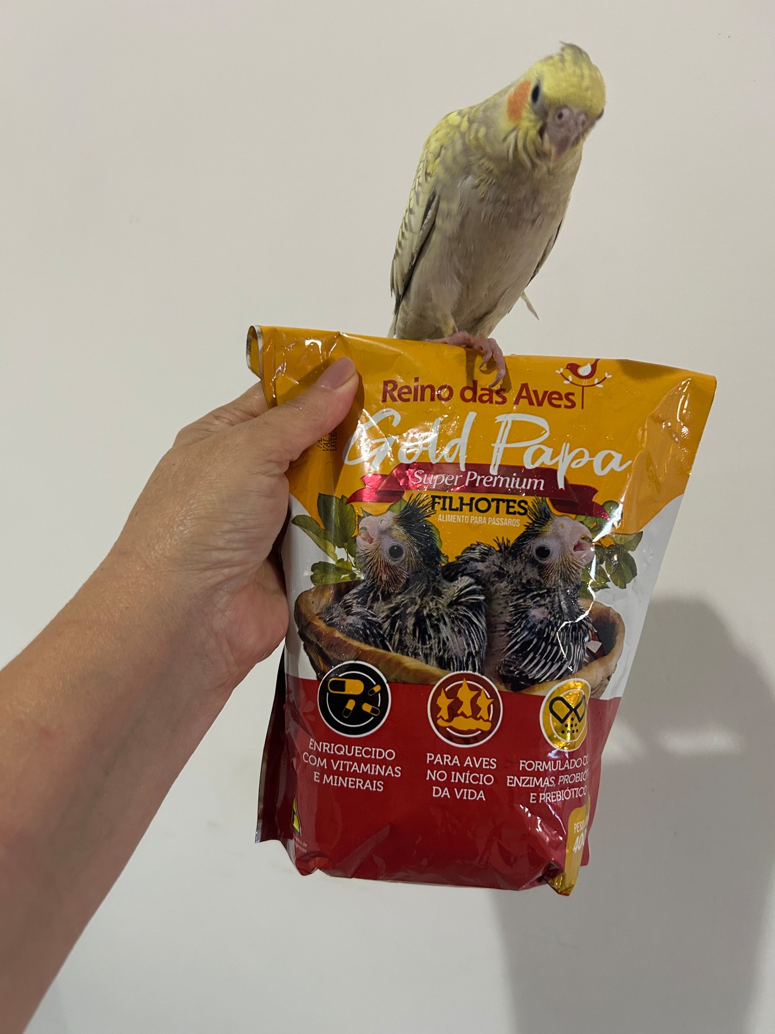 Kit Com 2 Gold Papa Filhotes 400g Reino Das Aves

R$37,38

#LTKpromo #LTKbrasil #LTKfamilia