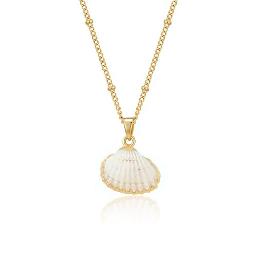 Aghfacy Gold Shell Necklace,Dainty Shell Pendant Necklace Gold Small Shell Charm Necklace for Women Beach Cute Shell Necklaces for Women | Amazon (US)
