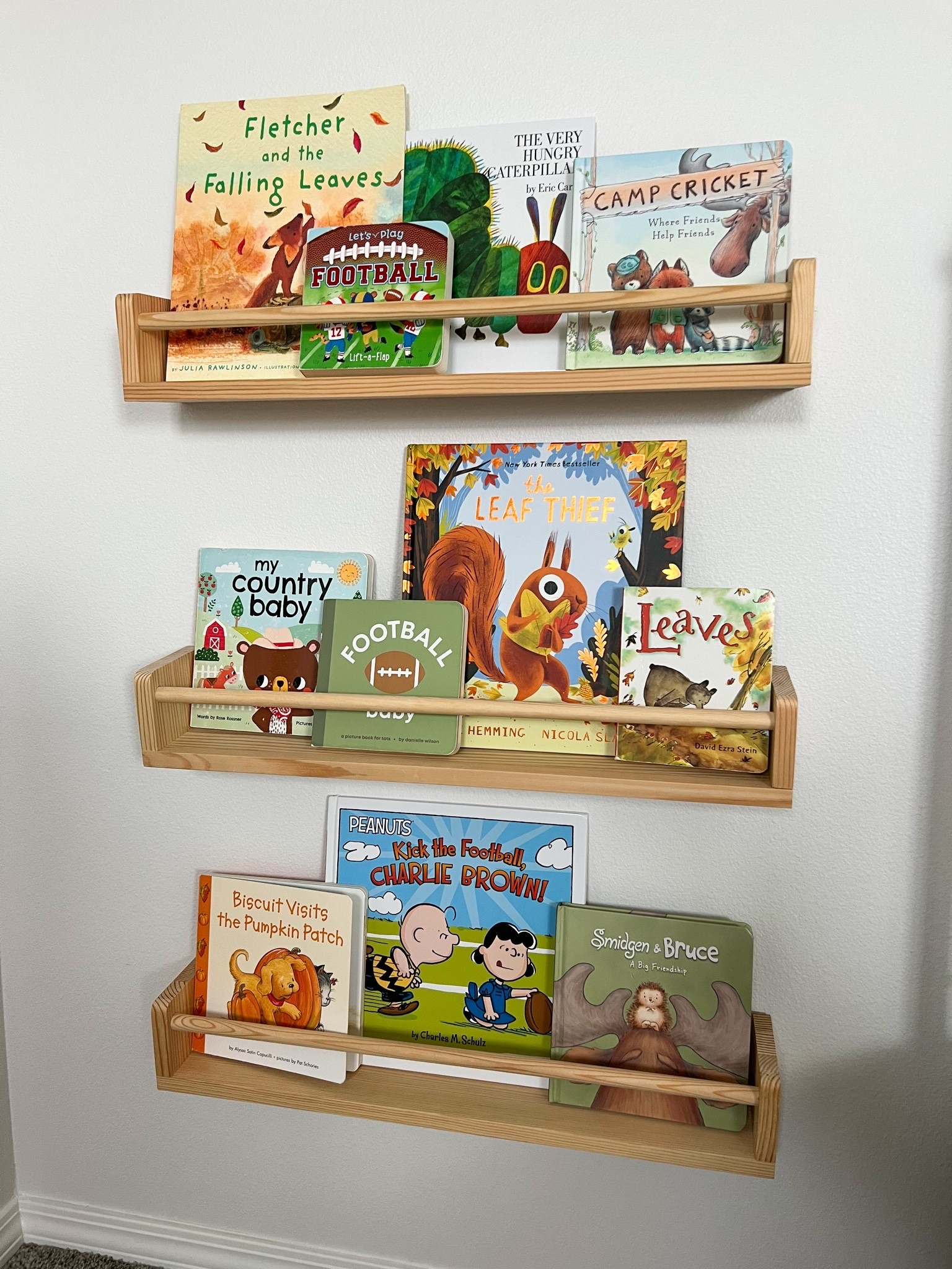 Added fall vibes to the bookshelf this morning 🍁 toddler books, fall books for toddlers, fall books for kids, books for boys, boy bedroom ideas

#LTKSeasonal #LTKKids #LTKBaby
