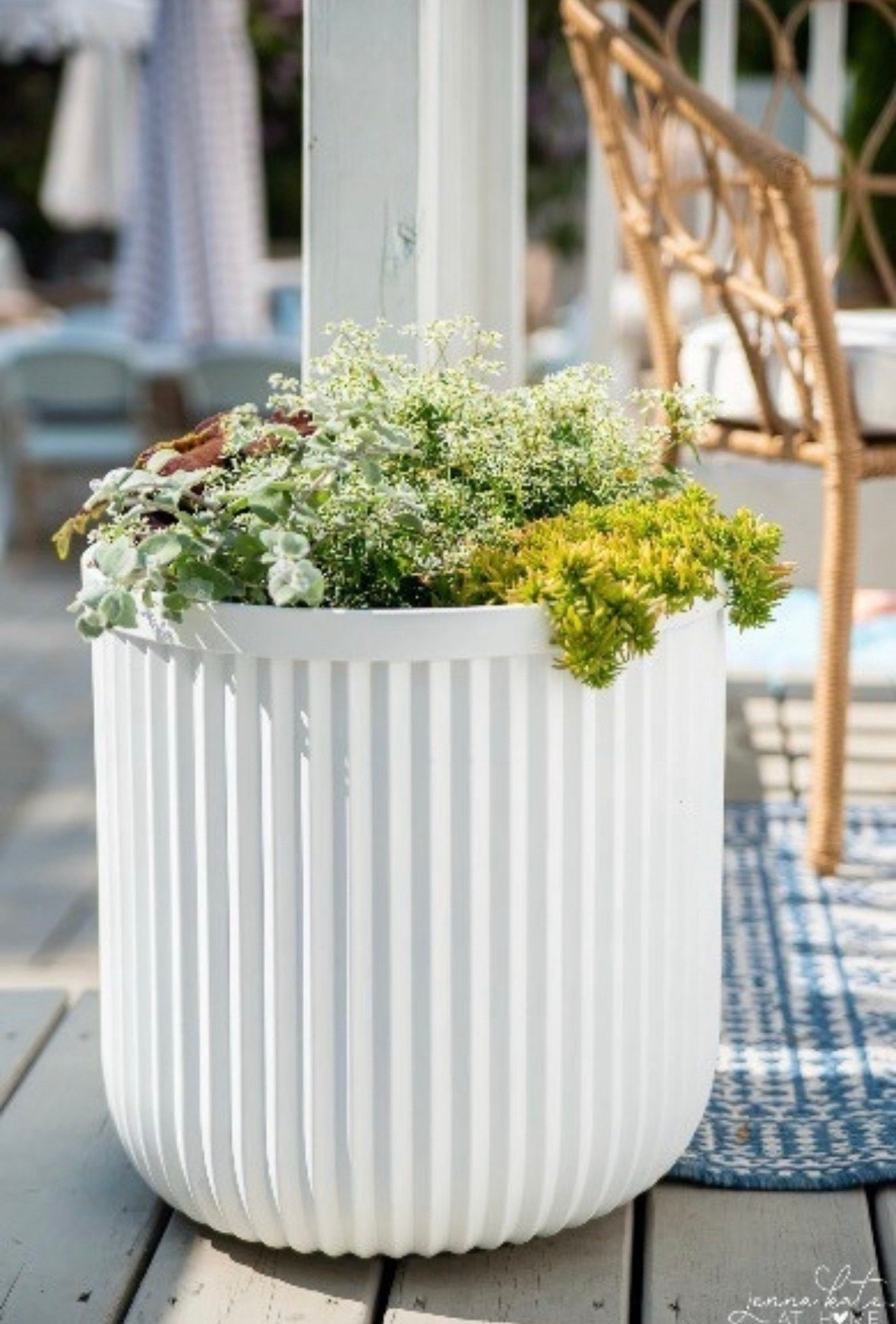 Big planters are a great way to add fresh flowers and greenery to your patio! Here’s a few favorites!

#LTKSaleAlert #LTKHome #LTKSeasonal