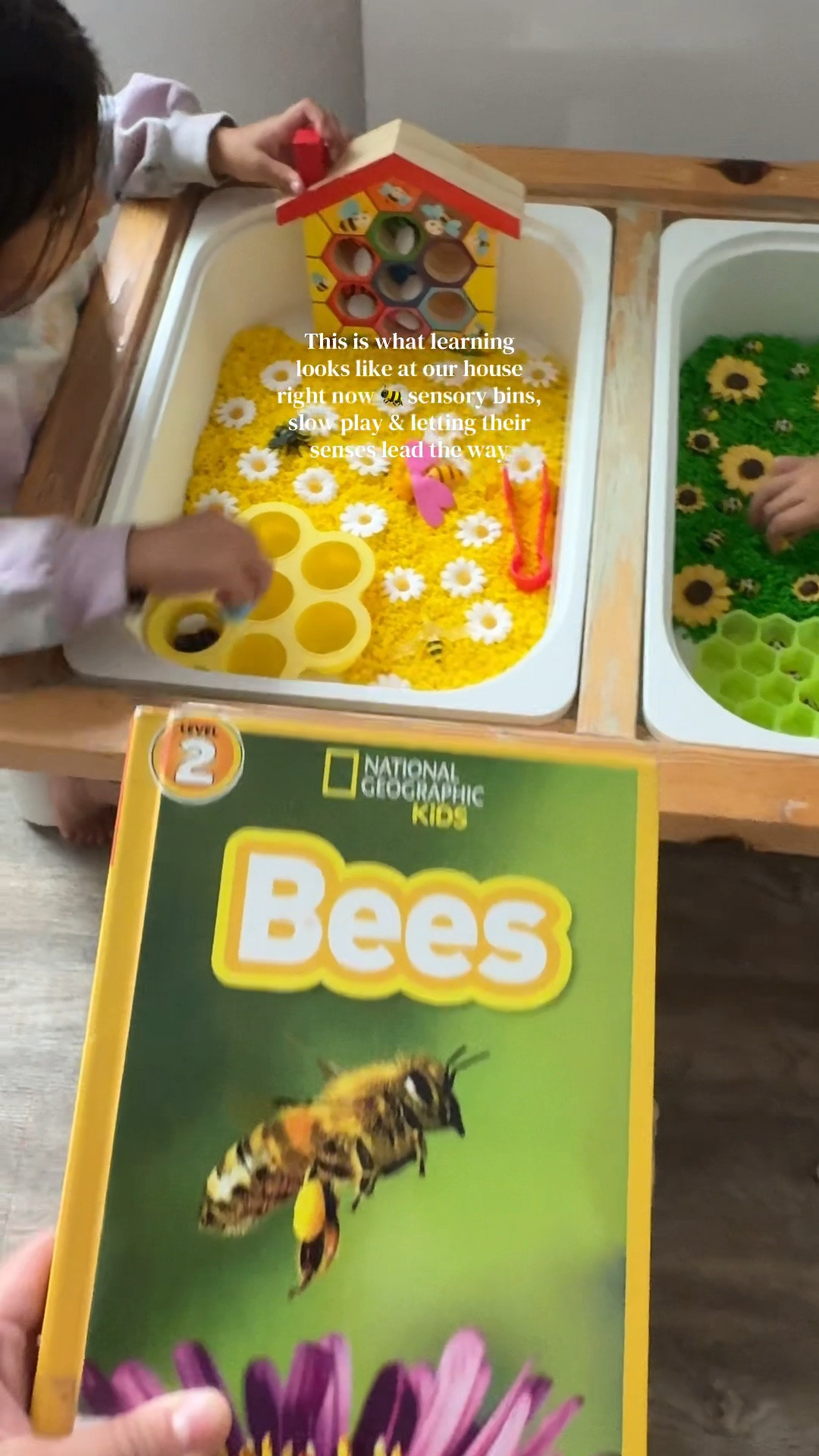 Did a little bee unit with my kids today and of course I had to set up a sensory bin to go with our theme cause it’s their favorite 🐝

While they played in their bins, they practiced counting, color sorting & worked on their fine motor skill using mini tongs to pick up the bees.

It’s also my favorite way to review what we learned cause they listen & absorb information better when their little hands are busy💛

#savethebees #sensorybin #sensoryplay #earlylearning #homeschoolmom

#LTKmomlife #LTKKids