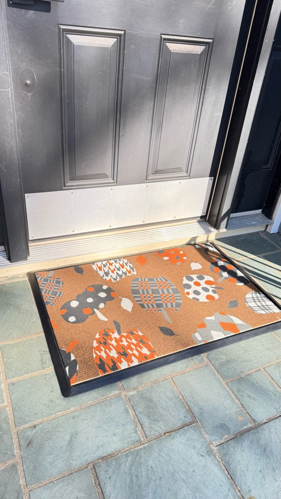 Working on giving my front stoop a glow up! I just discovered that Ruggable makes interchangeable doormats! What a game changer! 

#LTKBaby #LTKHome #LTKSeasonal