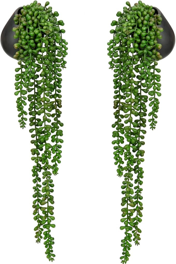 Artificial Hanging Plants 2PCS Fake Hanging Plant 21" Long String of Pearls Plants in Black Ceram... | Amazon (US)