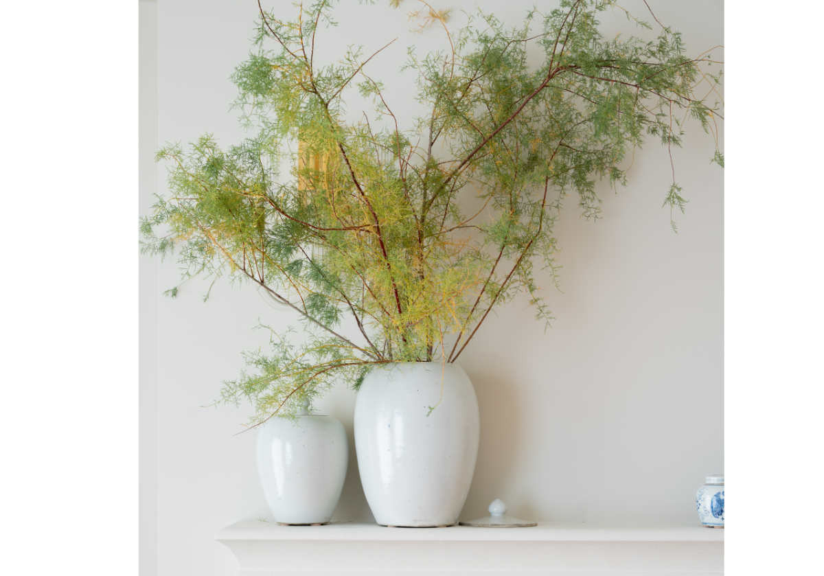 PHILIPA JAR | Alice Lane Home Collection