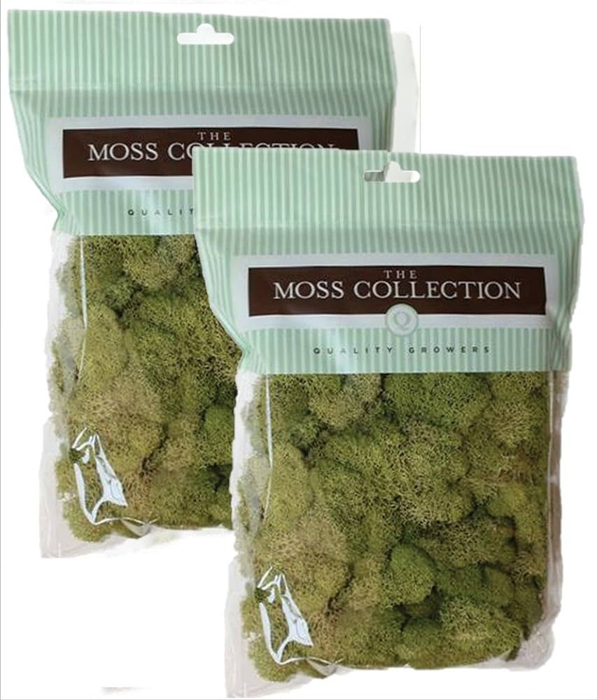 Quality Growers QG2060 Preserved Reindeer Moss, 108.5 Cubic Inch, Spring Green (Pack of 2) | Amazon (US)