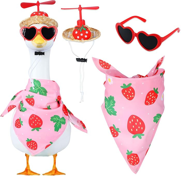 Pink Strawberry Porch Goose Outfits - 3 Pcs Cute Strawberries Fly Straw Hat, Glasses & Bib for 17... | Amazon (US)