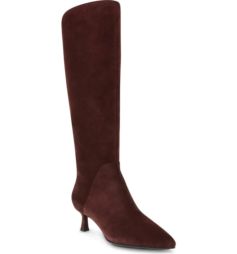 Anne Klein Isela Tall Boot | Nordstrom | Nordstrom