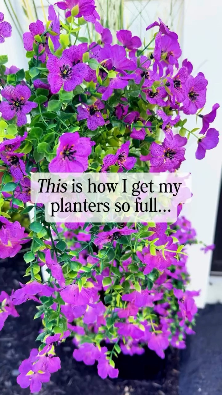 Low-maintenance planters that always look full 🌸

I mix in faux stems to fill everything out — no watering, no replacing, and they still look this good all season.

Such an easy & affordable way to make your porch feel finished without the upkeep.


#LTKSeasonal #LTKHome