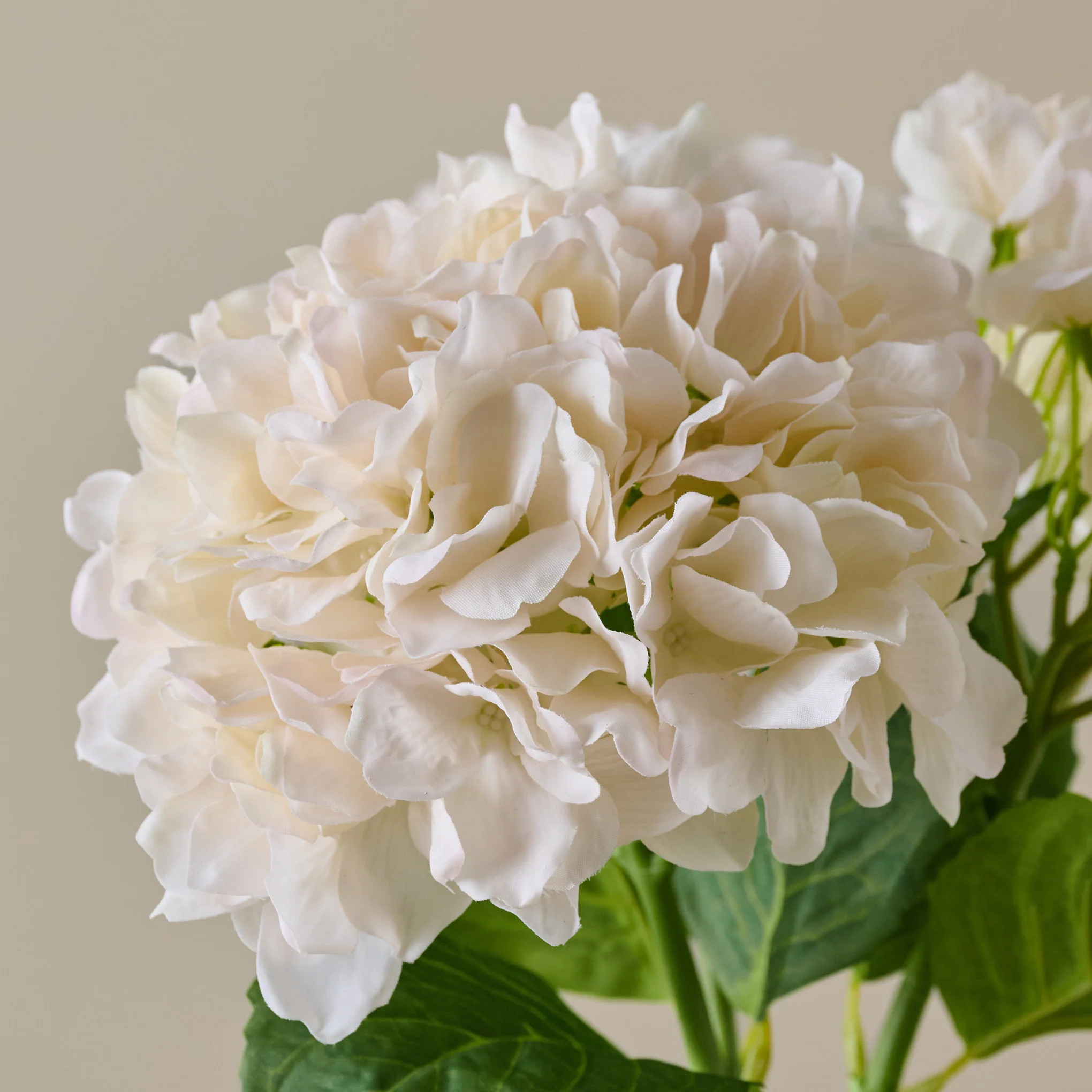 Real Touch Hydrangea Bundle | Magnolia