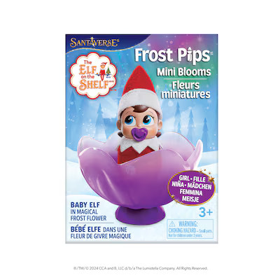 The Elf on the Shelf 4.5-in Elf Christmas Figurine | Lowe's